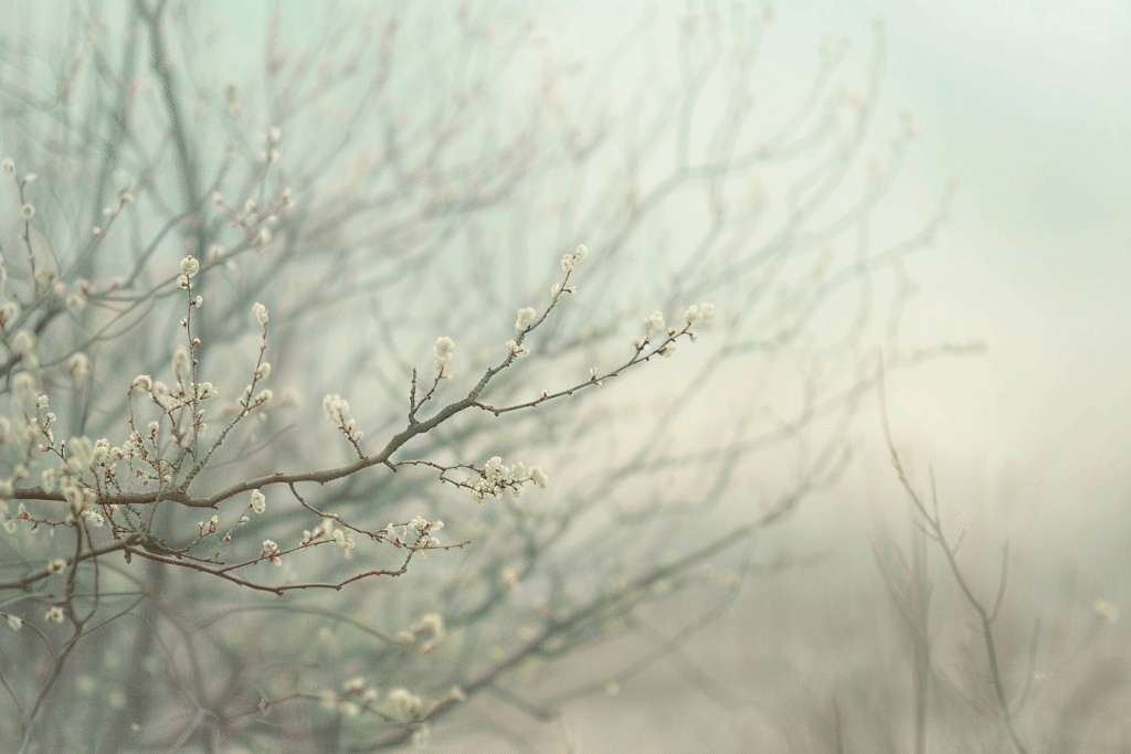 Midjourney lourdes1958_peaceful_transition_from_winter_to_early_spring_l_798f96a9-41b8-4f6c-b965-4e298f0e9ed4_2